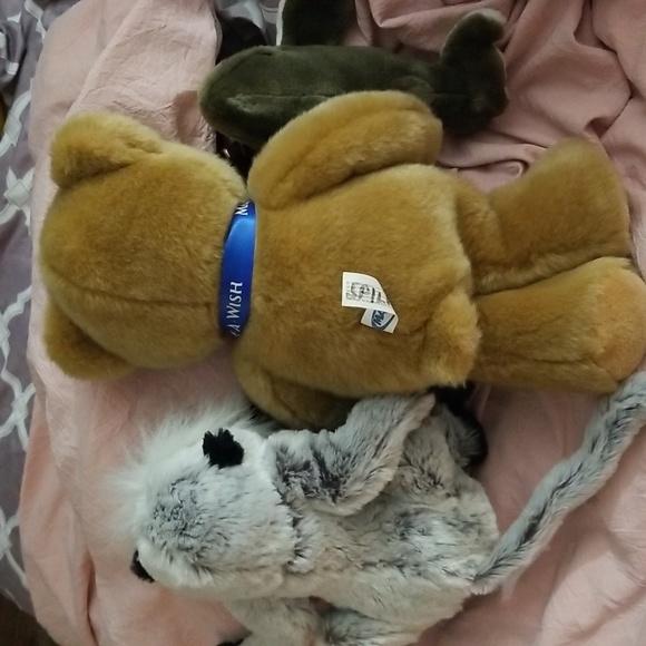 Make a Wish Bear and extras Plush bundle of 3 - Picture 3 of 13